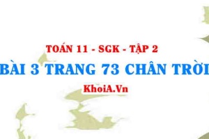 Bài 3 trang 73 Toán 11 Tập 2 Chân trời sáng tạo